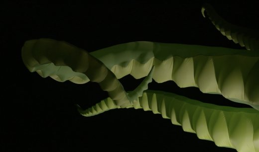 capture-decran-2021-01-05-a-16.57.47